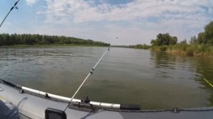 ПОЙМАЛИ САЗАНЧИКА НА ПЬЯНУЮ КУКУРУЗУ 🌽
