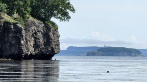 Жизнь аборигенки. Поездка в Де Кастри. Родители на пикнике. На купалась. 02.08.25