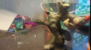 серый волк сжирает всех