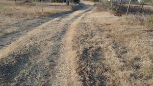 3 участка по 10 соток Прогресс