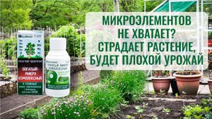 Есть прекрасный простой суперэкологичный выход — замечательный препарат Богатый Микро Комплексный