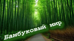 House Builder №11-Дома из бамбука.