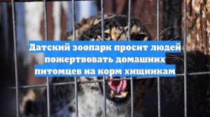 Датский зоопарк просит людей пожертвовать домашних питомцев на корм хищникам
