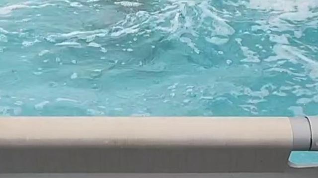 Дождь.Обломило ветки груши,яблони! Купаемся в бассейне!!! смотреть онлайн