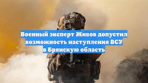 Военный эксперт Живов допустил возможность наступления ВСУ в Брянскую область