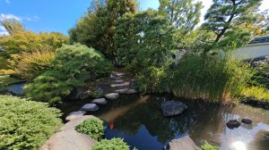 Путешествие в Японию. Сад Коко-эн. Часть 18