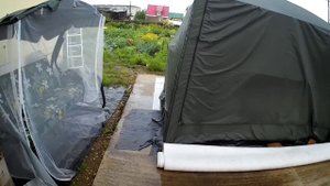 Дожди и обшивка дома