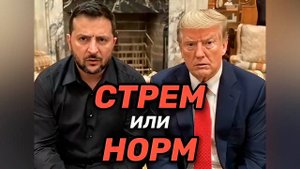 Стрём или норм с Зеленским и Трампом