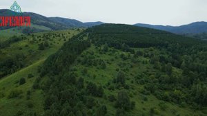 Белокуриха участок 1