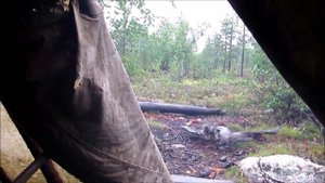 Чумовые рассказы. Снова о зонтике.