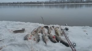 Как поймать щуку на отводной поводок?!