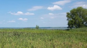 Переславль-Залесский 2025