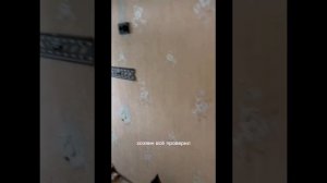 Новая чистовая электропроводка во вторичном жилье,  квартира 37кв/м.