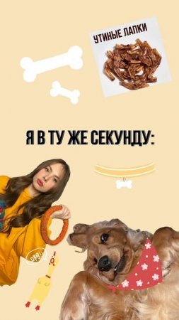 Самая приятная трата денег🤣🐶 #животные