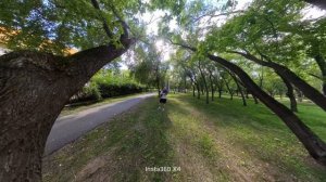 Старый парк, прогулка_3_(белки)