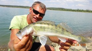 ЛОВЛЯ КРЫМСКОГО СУДАКА. АВГУСТ СУДАК НА ЖИВЦА.2025..