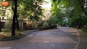 Квартира в Золотом треугольнике Петербурга