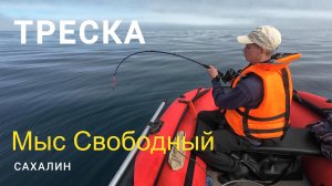 Сахалин. Мыс Свободный. Треска