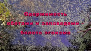 Одержимость обетами и заповедями – болото эгоизма