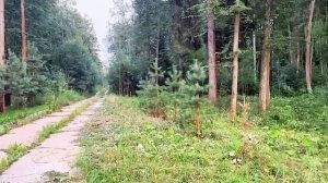 Московская обл., Чеховский район, сп Любучанское, д. Прохорово. Земельный участок 25 соток. ИЖС