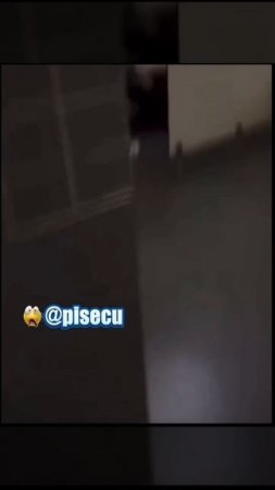 Место в первом ряду на просмотр поединка😁