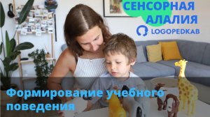 Этапы коррекционной работы при сенсорной алалии. Формирование учебного поведения у детей