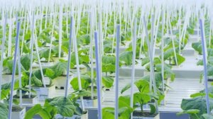 6. КОМИТЕТ ПО ТРУДУ И ЗАНЯТОСТИ НАСЕЛЕНИЯ ЛЕНИНГРАДСКОЙ ОБЛАСТИ