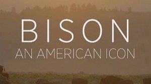 Бизон - Американский идол | NAT Geo