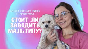 НЕ ЗАВОДИ МАЛЬТИПУ, пока не посмотришь это!