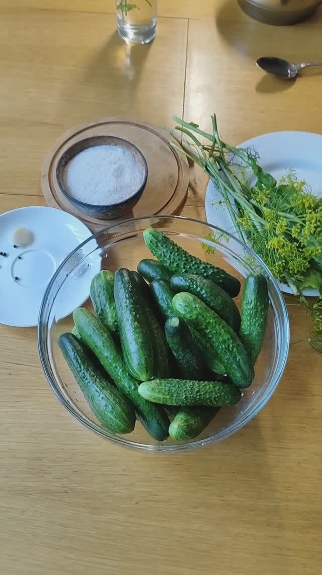 Малосольные огурцы