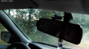 Дорога на пруд