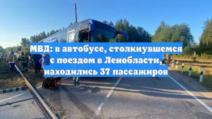 МВД: в автобусе, столкнувшемся с поездом в Ленобласти, находились 37 пассажиров