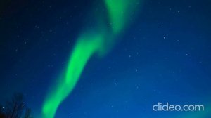 Радисты высоких широт