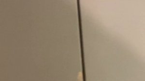 VLOG 26. Я разучилась снимать влоги. Обещаю исправиться