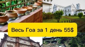 Что посмотреть в Гоа? Экскурсия "Весь Гоа за 1 день" (2015 год)