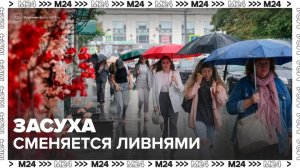 Климатолог предупредил о смене засух ливнями в Москве - Москва 24