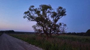 Туры на квадроциклах в гостевом комплексе "Кикино на Веле"
