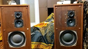 Сч Yamaha в 35ас-208 текст