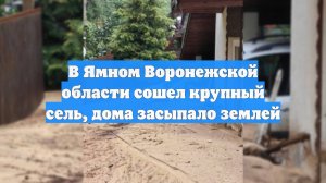 В Ямном Воронежской области сошел крупный сель, дома засыпало землей