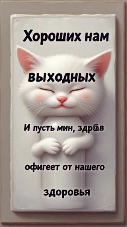 Котики