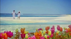 Мелодия бессмертного огня... Лариса Мерзлякова