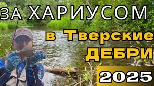 За ХАРИУСОМ в Тверские дебри 2025г!