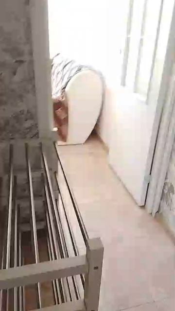 Россия М.О. ЖК Пригород Лесное Литературный бульвар дом 4