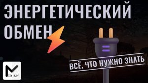 Весь энергетический обмен для ЕГЭ по биологии 2026 за 50 минут!
