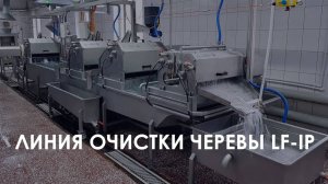 Как очищают кишечное сырье на современных производствах?