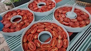 25-29 июля 2025. Готовлю без памяти.. Соус, паста, лазанья... Поболтаем!