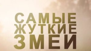 Самые жуткие змеи «Австралия» | NAT Geo