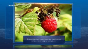 Мария Магдалина. Календарь Губернии от 4 августа