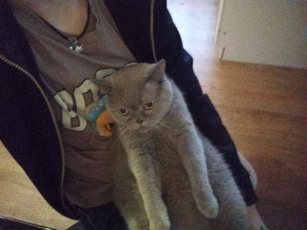 прощание смотреть онлайн