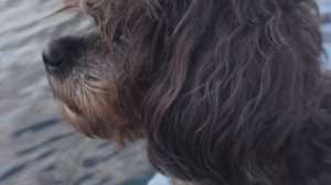 прогулка на sup с инструктором Беатрис